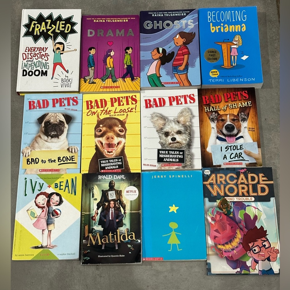 Large lot of chapter books